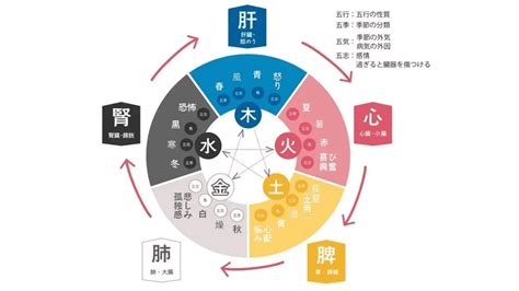 陽水五行|【五行占い】水（陽・陰）の2023年運勢や特徴・性。